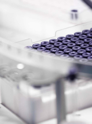 Nightingale Health sample tubes on a sample rack.